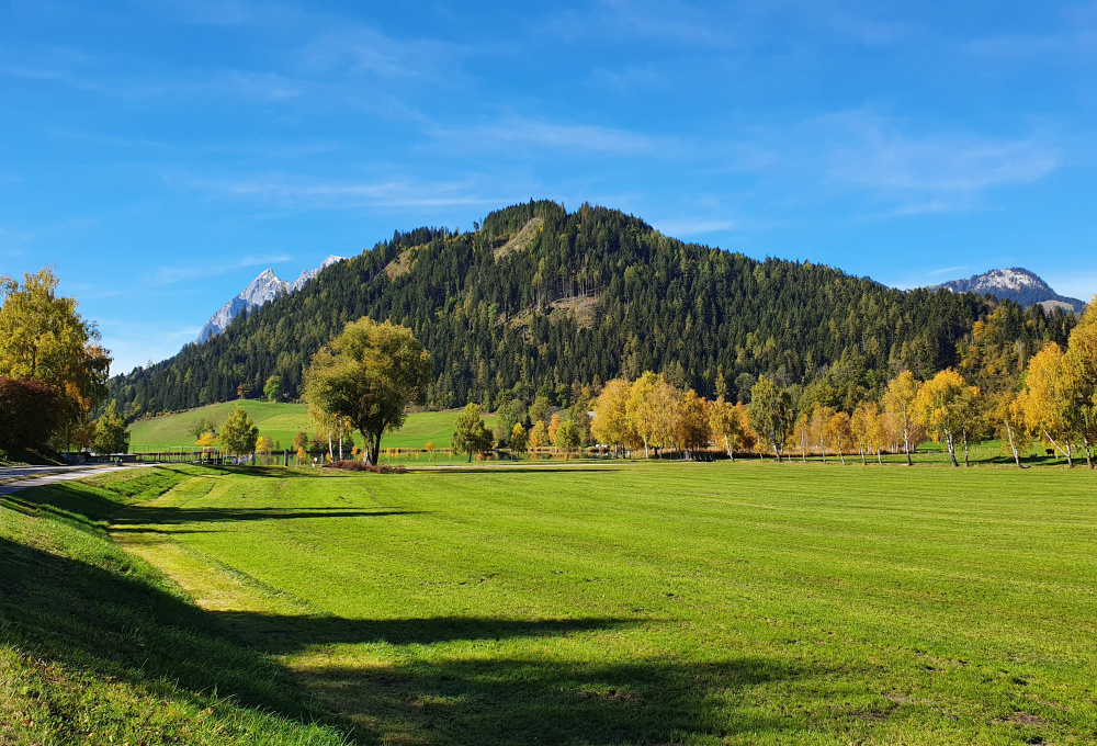 Wohnen am See in Aigen im Ennstal: Lage und Umgebung