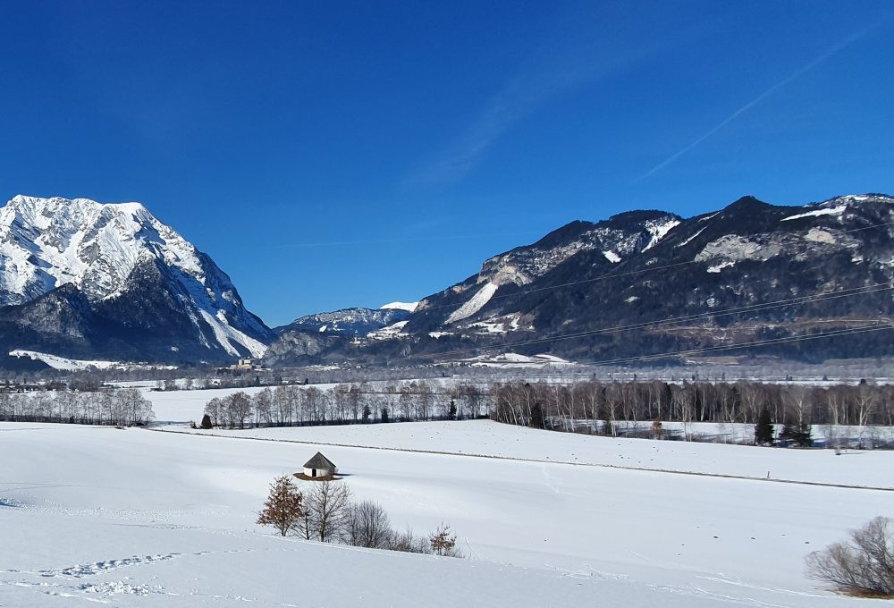 Wohnen am See in Aigen im Ennstal: Lage und Umgebung