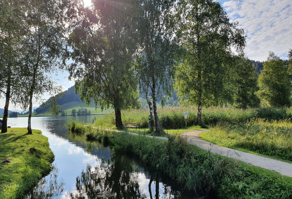 Wohnen am See in Aigen im Ennstal: Lage und Umgebung